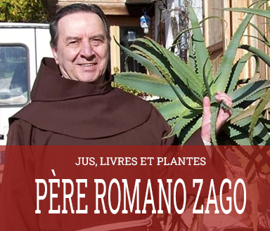 père romano zago