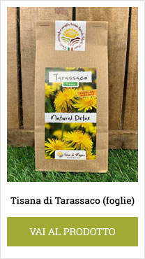 tisana tarassaco foglie