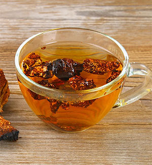 chaga tisana