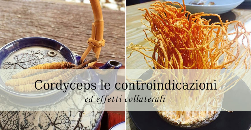 cordyceps controindicazioni