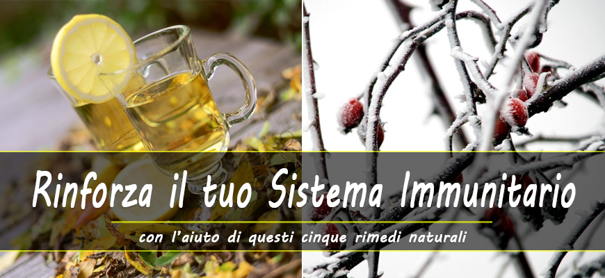 rimedi naturali sistema immunitario