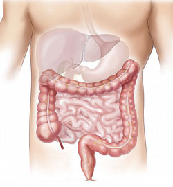 problematiche gastroenteriche