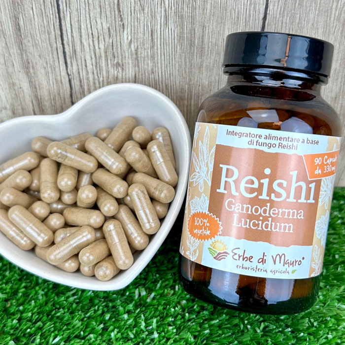 reishi capsule