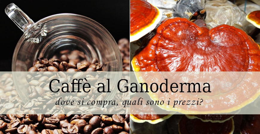 caffè ganoderma