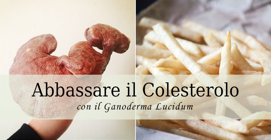 ganoderma lucidum riduce colesterolo