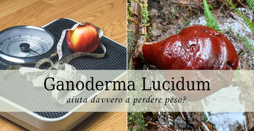 ganoderma per dimagrire