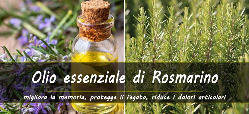 benefici olio essenziale rosmarino