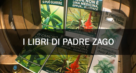 libri padre romano zago