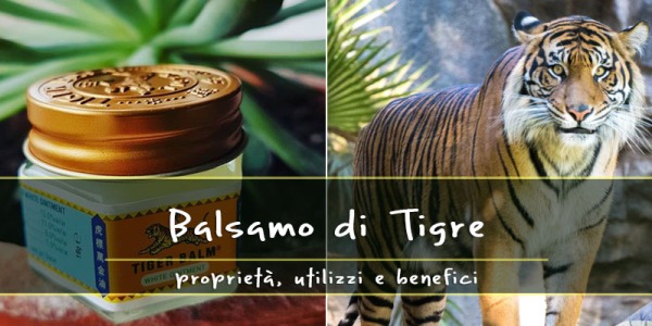 Balsamo di Tigre: Proprietà, benefici e modo d’uso