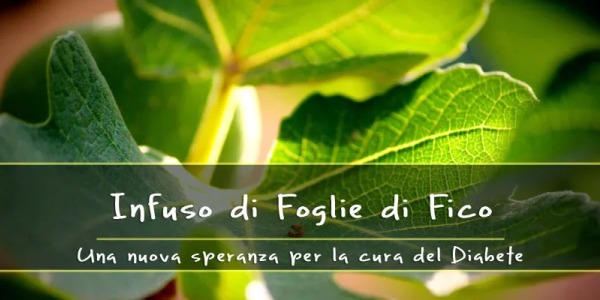 Foglie di fico, una nuova speranza per la cura del Diabete