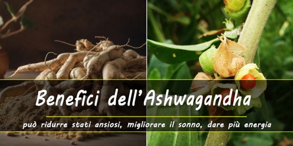 Proprietà e benefici dell'Ashwagandha 