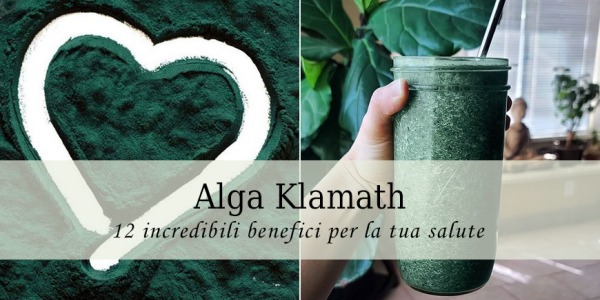 Alga Klamath: 12 incredibili benefici per la tua salute