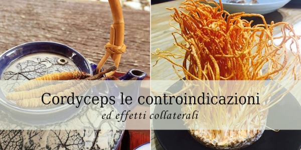 Cordyceps sinensis: Controindicazioni ed effetti collaterali