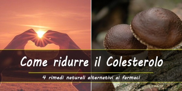 Abbassare il colesterolo: le alternative naturali ai farmaci