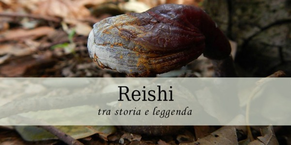 Reishi tra storia e leggenda