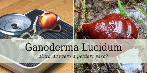 Il Ganoderma aiuta a dimagrire?