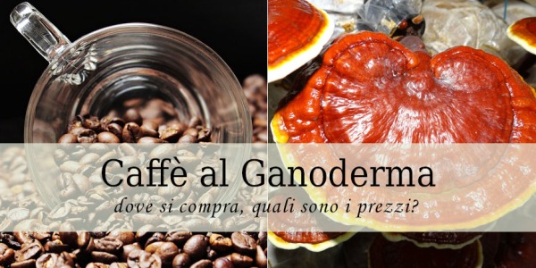 Caffè al Ganoderma. Dove si compra? Quali sono i Prezzi?