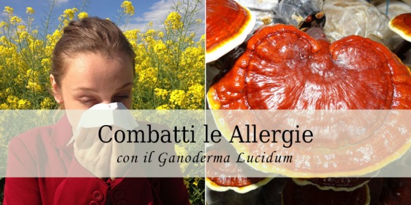 Allergie, combattile con il Reishi