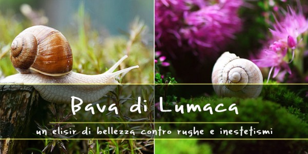 I benefici della bava di lumaca: elimina rughe, macchie, vecchie cicatrici…