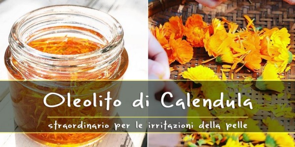 Oleolito di Calendula: elimina prurito, bruciore ed irritazioni della pelle