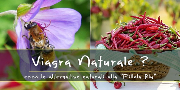 Viagra naturale? Ecco 5 rimedi efficaci per incrementare la tua virilità