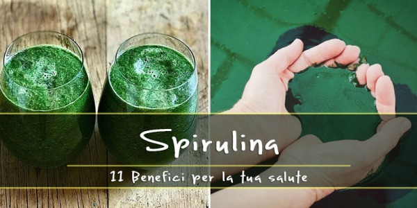 A cosa serve l’alga Spirulina? 11 Benefici per la tua salute