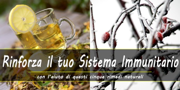 5 rimedi naturali per riportare in equilibrio il tuo sistema immunitario