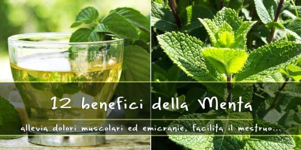 12 benefici della Menta. Cura le emicranie, i dolori muscolari e mestruali…