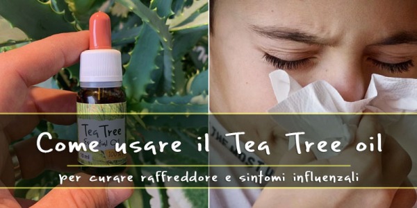 Come usare il tea tree oil per curare raffreddore e sintomi influenzali