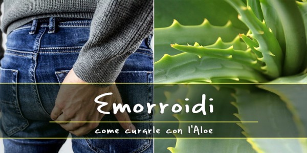 Aloe Vera per curare le Emorroidi. Come usare il succo e il gel di Aloe