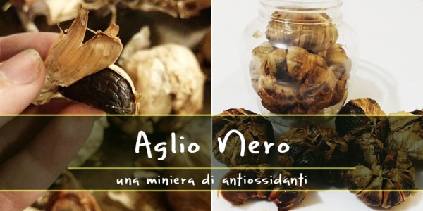 Aglio Nero, una miniera di antiossidanti. Proprietà, utilizzi e dove comprarlo