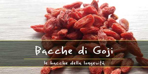 Bacche di Goji, tutti i benefici delle bacche della longevità