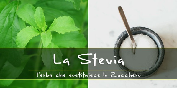 Stevia: il dolcificante naturale a 0 Calorie, che sostituisce lo Zucchero