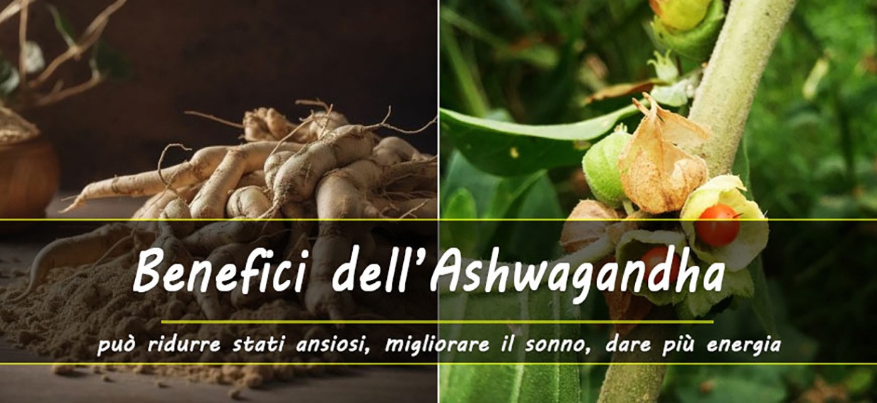 Proprietà e benefici dell'Ashwagandha 